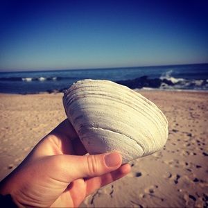 Meet your Posher, Jamie